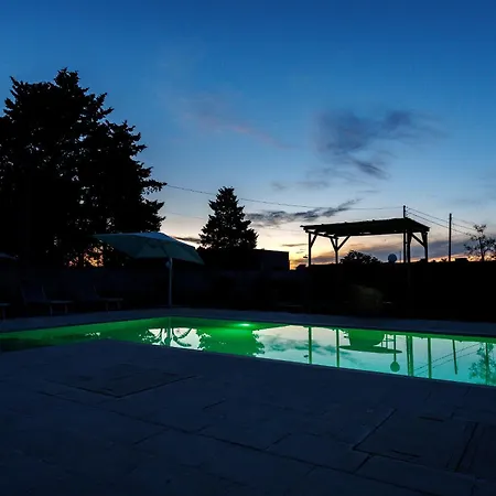Petra Leccese - Art & Design With Pool