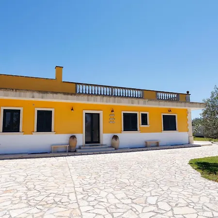 Petra Leccese - Art & Design With Pool